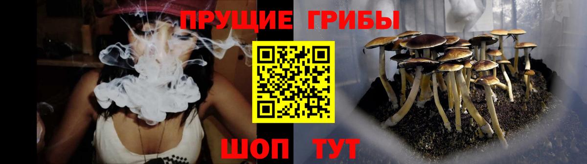 Псилоцибиновые грибы Psilocybe  Вход с VPN  Воскресенск 