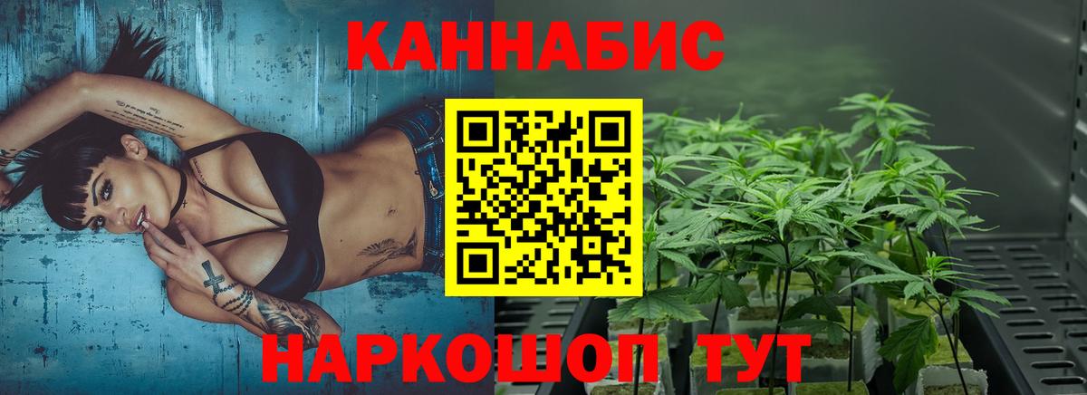 Конопля планчик  Каннабис план  Воскресенск  МАРИХУАНА ГИДРОПОН  Вход с VPN 
